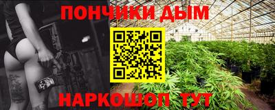шишки Новозыбков