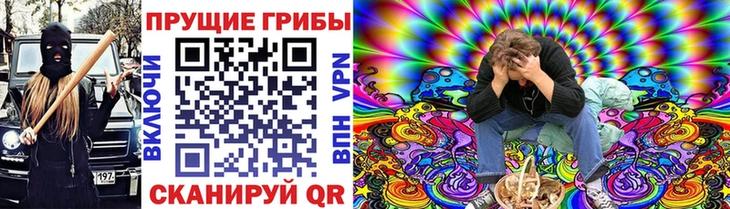 MEGA рабочий сайт  Саяногорск  Псилоцибиновые грибы Cubensis 