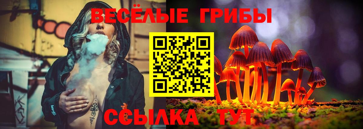 Псилоцибиновые грибы мицелий Саяногорск